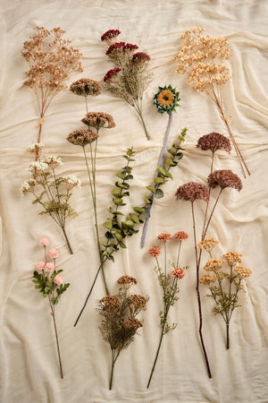 Blomstilk sandfarget