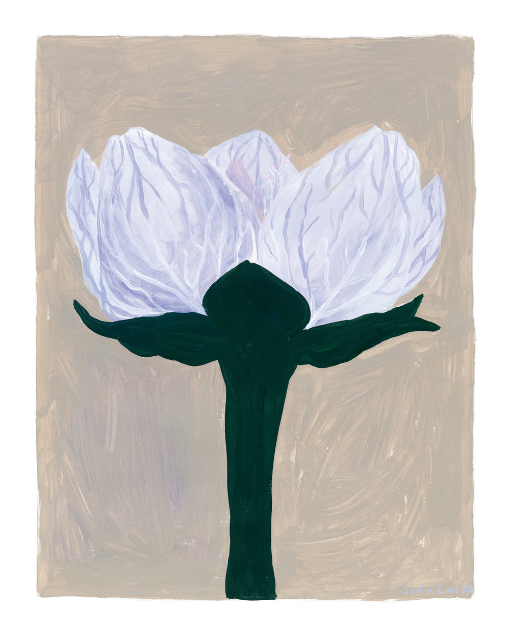 Slåtterblomma Poster 40 x 50 cm