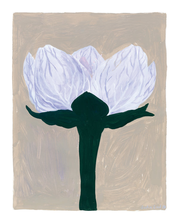Slåtterblomma Poster 40 x 50 cm