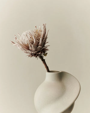 Louise Roe Pirout Vase 01