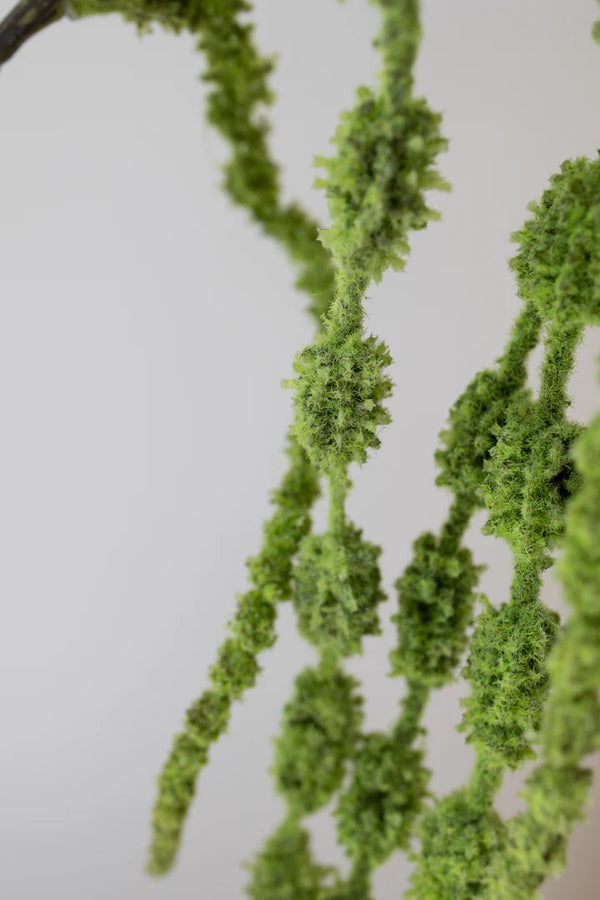 Bloom Objects Artificial Amaranthus 6 fork - Green