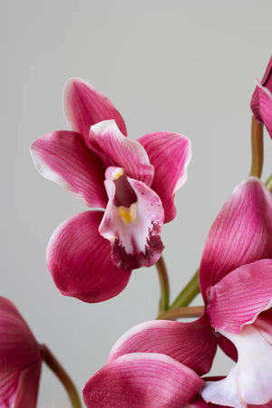 Bloom Objects Artificial Lifelike CymbidiumPink