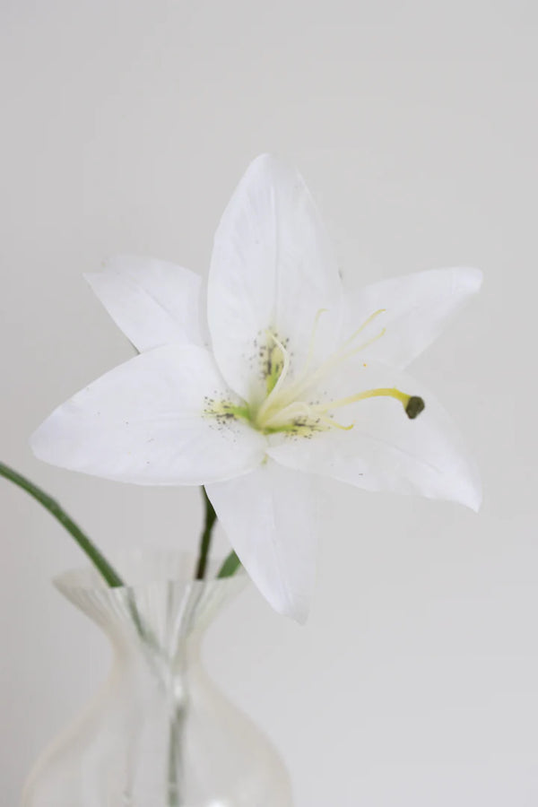 Bloom Objects Artificial Lily