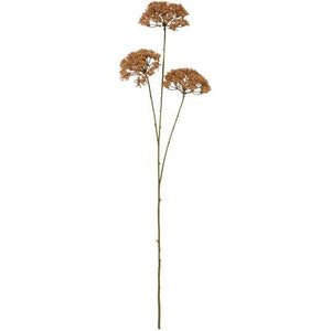 Blomsterstilk brun 3 stilker