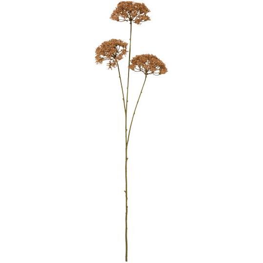 Blomsterstilk brun 3 stilker