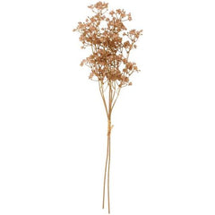 Blomstilk sandfarget