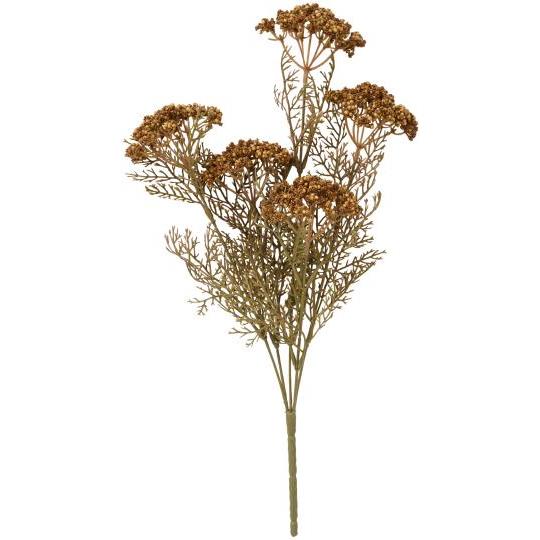 Blomsterstilk brun
