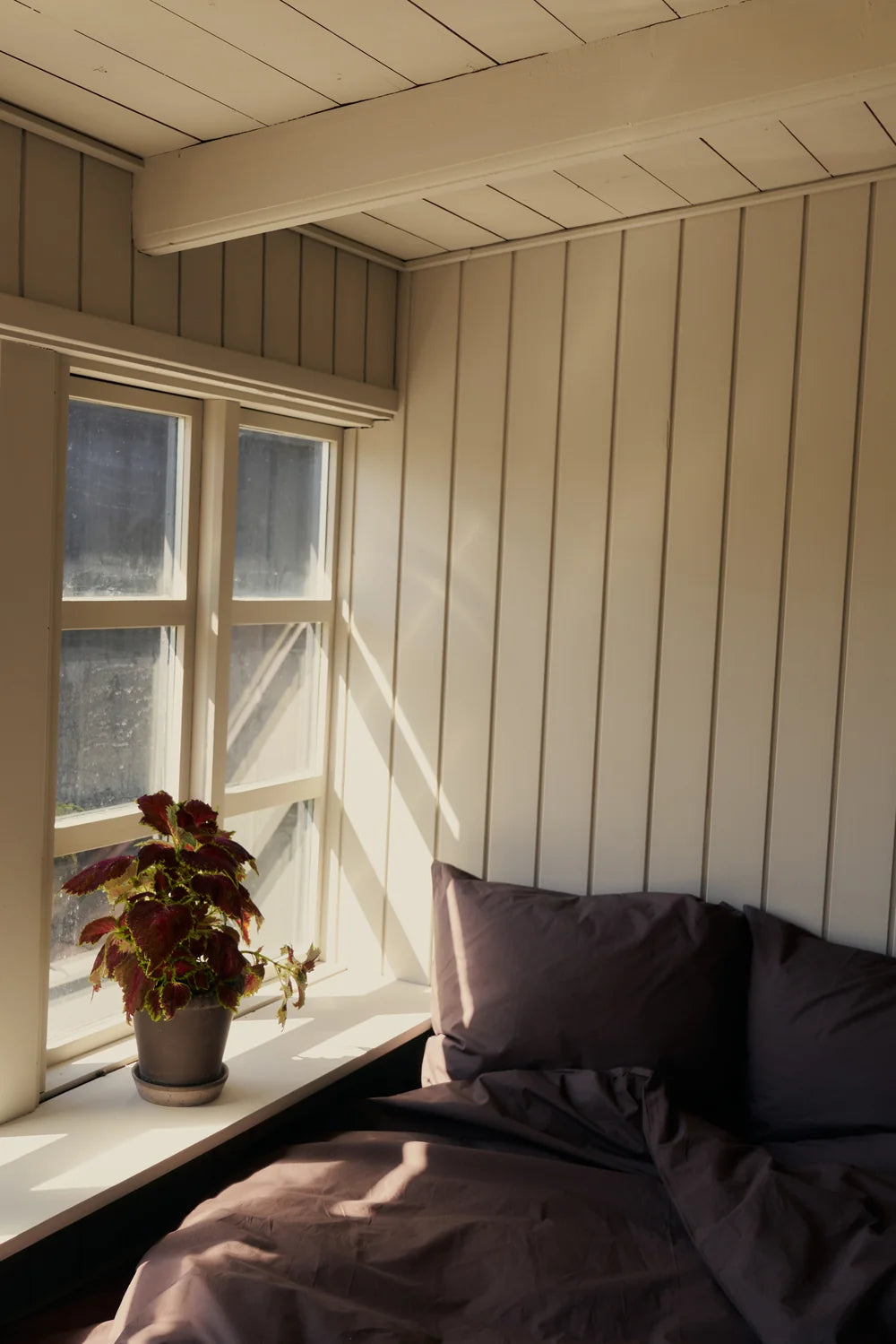 Percale putetrekk - Coffee