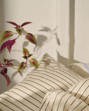 Percale dynetrekk - Creme & ink